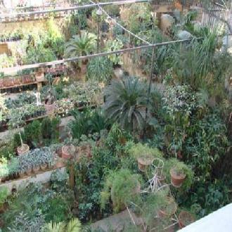 Best Homestay In Jaipur, Jaipur 3